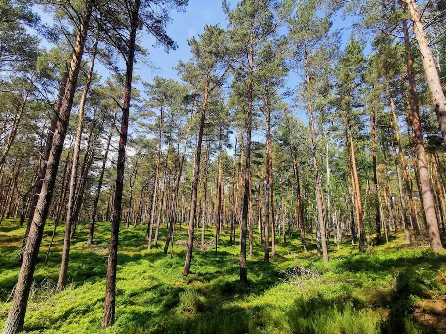 Campolohel- Przyczepa Kempingowa Bagian luar foto
